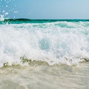 Meet your Posher, Lizzie